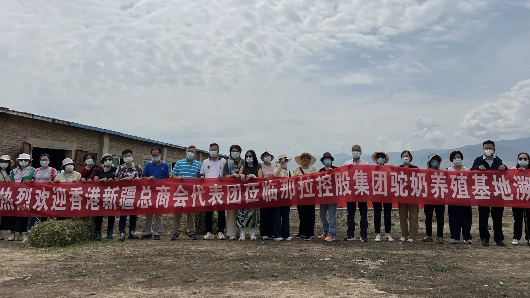 图片 3.png