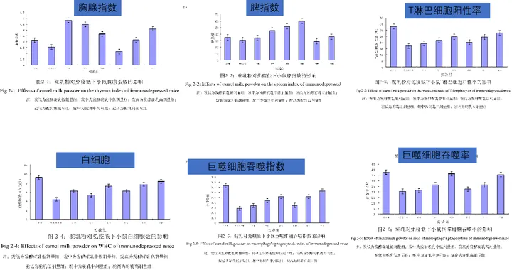 图片 6.png