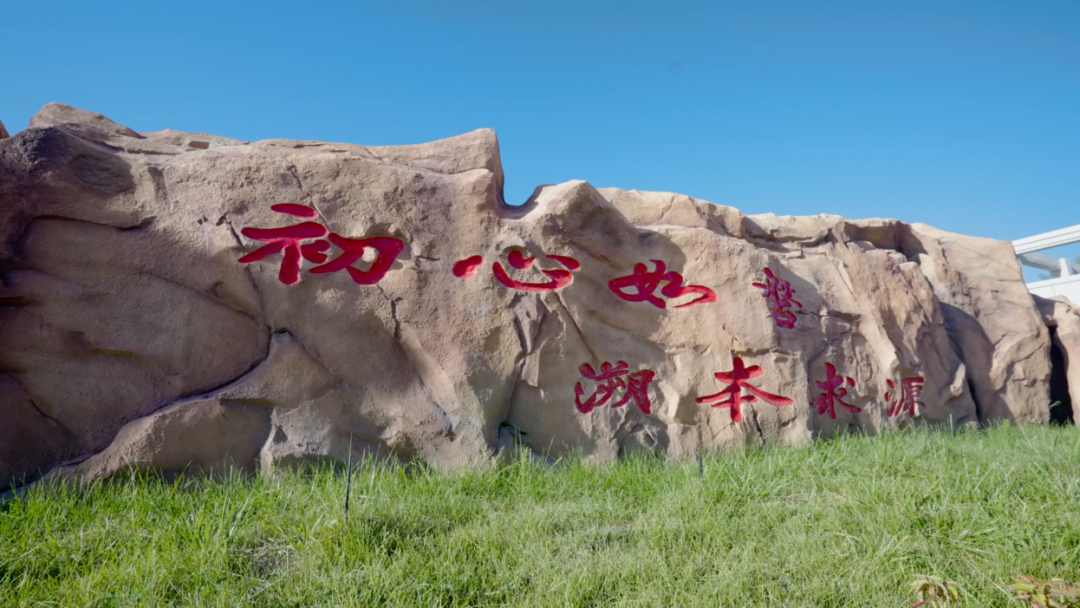 图片 8.png