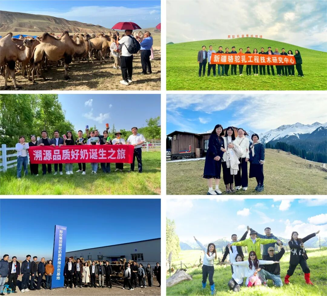 图片 3.png